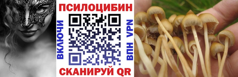 Псилоцибиновые грибы мухоморы Мытищи