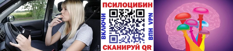 где купить Мытищи Галлюциногенные грибы Magic Shrooms