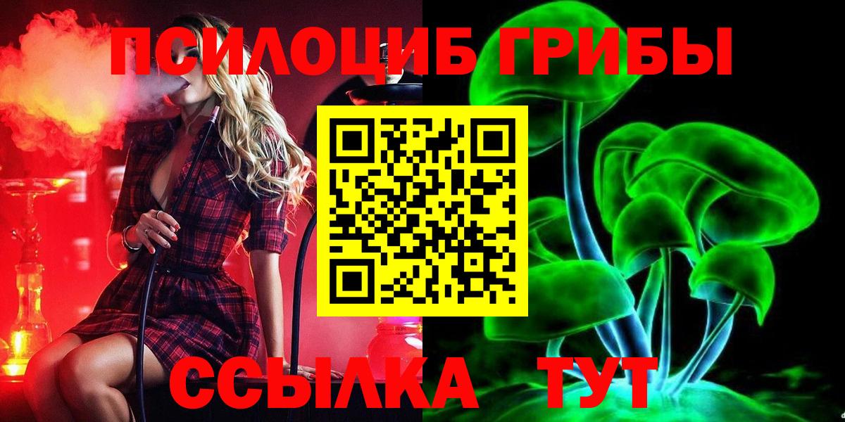 Мытищи  Галлюциногенные грибы Psilocybe  Вход с VPN 