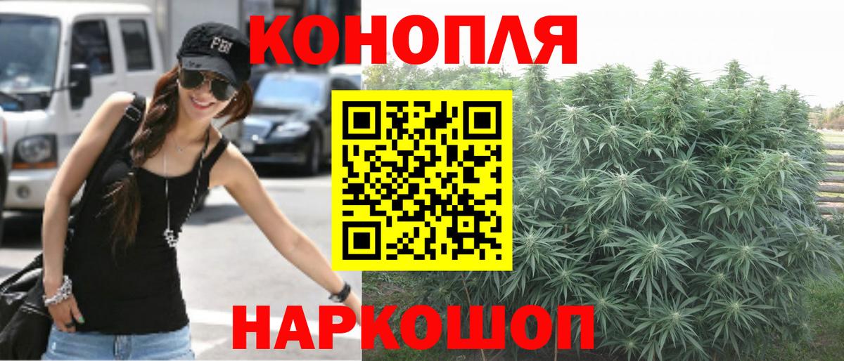 Канабис ГИДРОПОН Мытищи